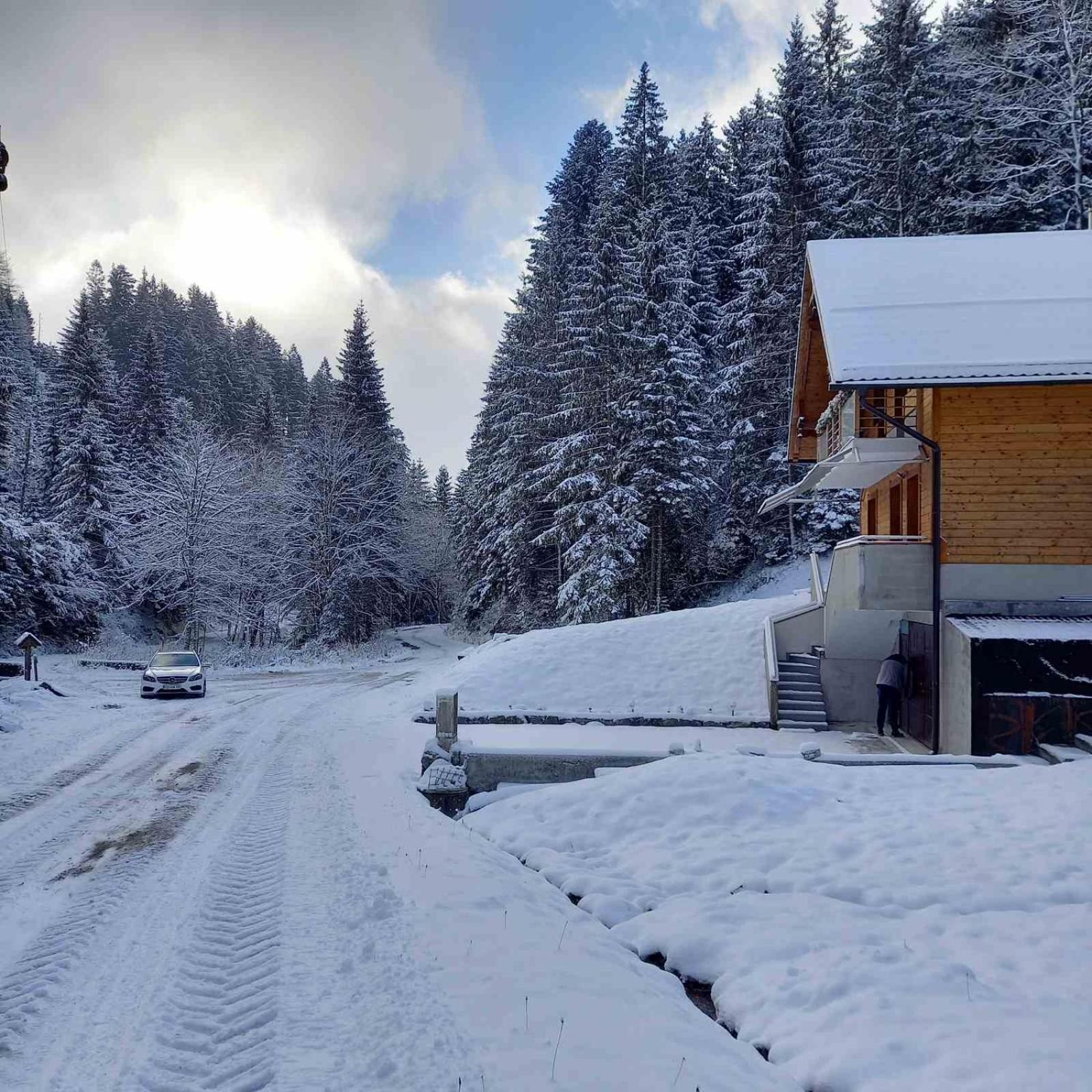 Hisa Lunna - Apartments In A Forest Paradise Vitanje Экстерьер фото
