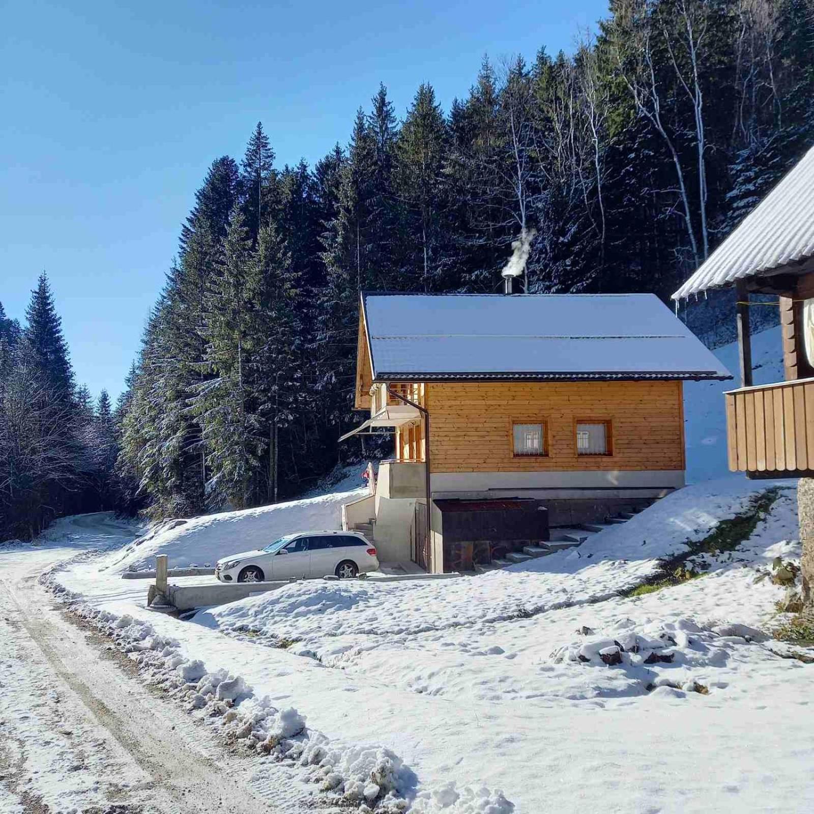 Hisa Lunna - Apartments In A Forest Paradise Vitanje Экстерьер фото
