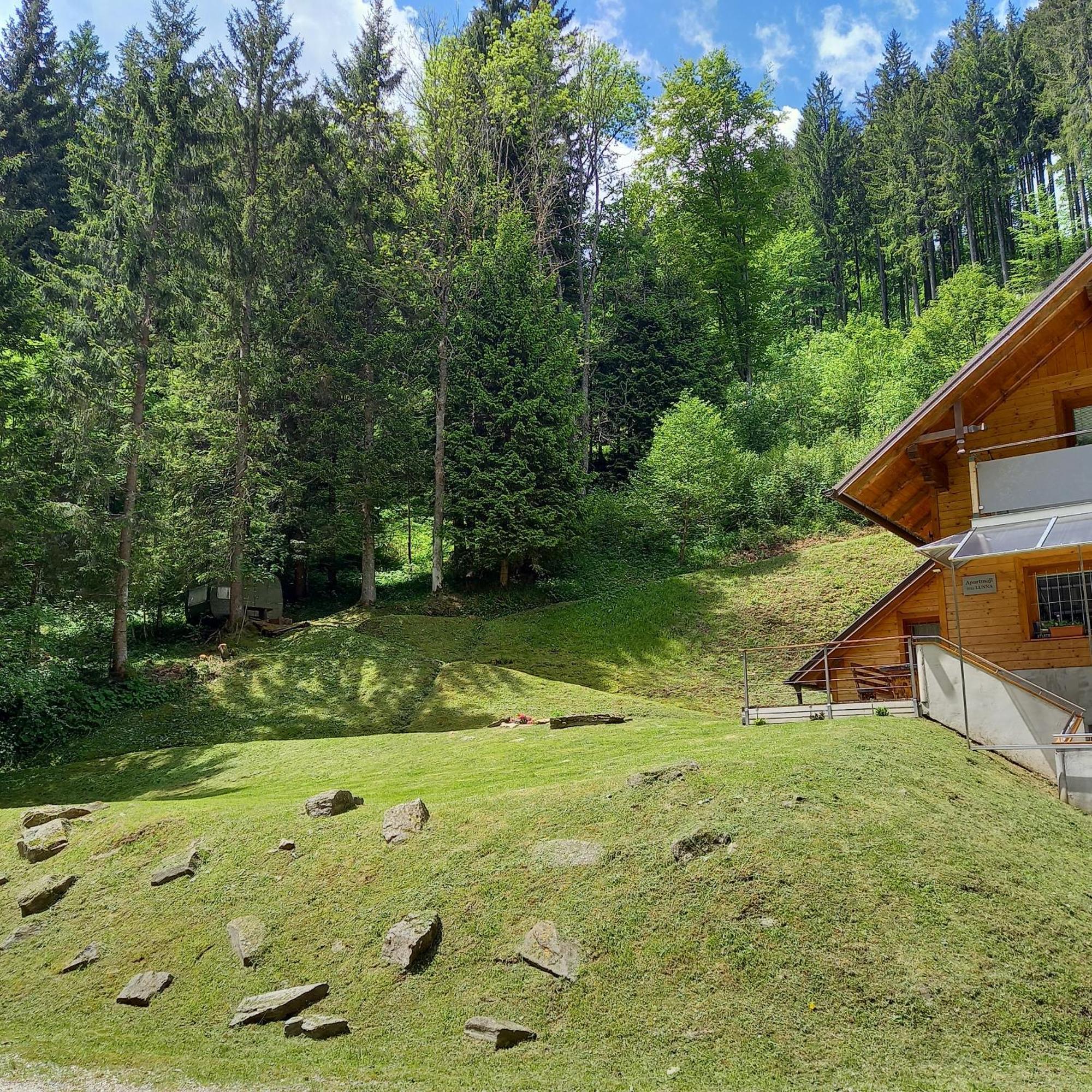 Hisa Lunna - Apartments In A Forest Paradise Vitanje Экстерьер фото